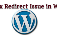 How to fix redirect issue in WordPress